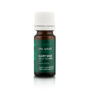 glary-sage