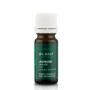 lavender-spa-maat1